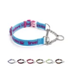 Collier Martingale d'Éducation et Anti-Fuite pour Chien