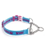 Collier Martingale pour chien Truelove - bleu