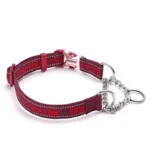 Collier Martingale pour chien Truelove - rouge