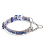 Collier Martingale pour chien Truelove - gris