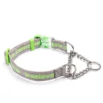 Collier Martingale pour chien Truelove - vert