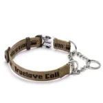 Collier Martingale pour chien Truelove - marron