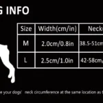 Collier Martingale pour Chien