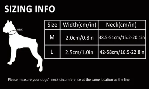 Collier Martingale pour Chien