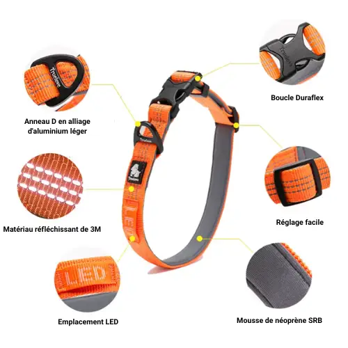 Collier pour chien Truelove Flux : confortable, solide et stylé Collier pour chien Truelove Flux
