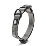 Collier pour chien Truelove Flux - gris