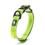 Collier pour chien Truelove Flux - jaune