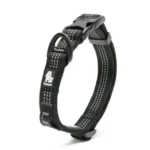 Collier pour chien Truelove Flux - noir