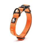 Collier pour chien Truelove Flux - orange