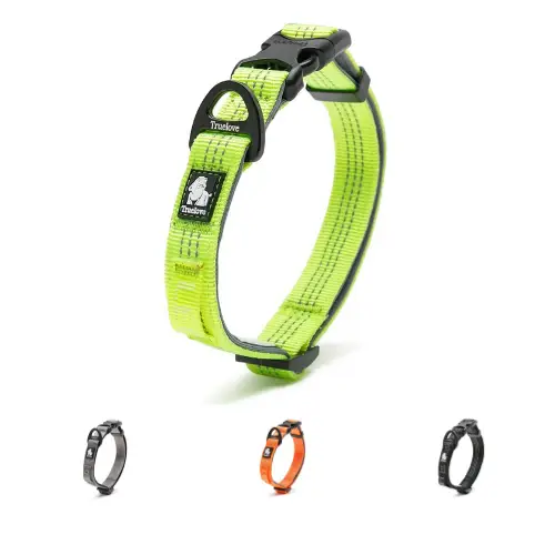 Collier pour chien Truelove Flux : confortable, solide et stylé Collier pour chien Truelove Flux - vue de face