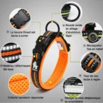 Collier pour petit chien et grand chien - tous les modèles