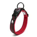Collier pour chien en Mesh Truelove - rouge