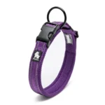 Collier pour chien en Mesh Truelove - violet