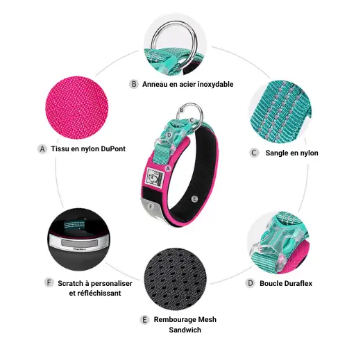 Collier pour chien Truelove anti-choc : Protection et confort pour des promenades sereines Collier pour chien Truelove anti-choc