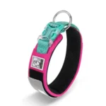 Collier chien Truelove rembourré fuchsia avec bandes réfléchissantes 3M