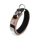 Collier chien Truelove rembourré marron - Rembourrage Mesh respirant