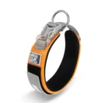Collier chien Truelove rembourré orange haute visibilité pour la balade