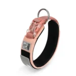 Collier chien Truelove rembourré rose pour petite et grande race