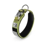 Collier chien Truelove rembourré vert - Modèle confort TLC5611
