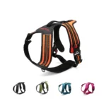 Présentation des 5 coloris du harnais pour chien TrueLove Forest TLH5551