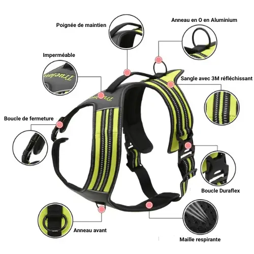 Harnais anti-traction pour chien Robustes et Puissants : Truelove Forest Harnais Anti-Traction Truelove Forest