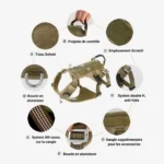 Infographie détaillant les avantages et la conception technique du harnais pour chien TLH7011
