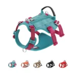 Présentation des différents coloris du harnais tactique anti-traction TrueLove Manley pour chien