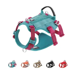 Harnais tactique pour chien Manley - Vue de côté