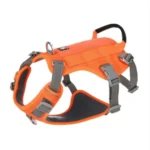 Harnais haute visibilité orange pour chien, idéal pour la sécurité et la chasse