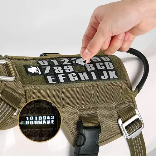 Harnais tactique pour chien : Robustesse & Professionnalisme Truelove Manley Harnais Tactique Truelove Manley