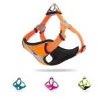 Présentation de tous les coloris disponibles pour le harnais pour chien Truelove Training TLH5991