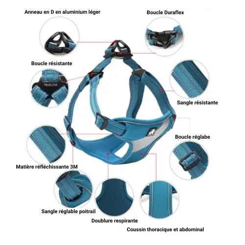 Harnais à enfiler Truelove Training : Le confort sans stress pour votre chien Harnais à enfiler Truelove Training