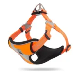 Harnais pour chien Truelove Training TLH5991 coloris orange