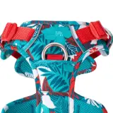 Point de fixation anti-traction du harnais pour chien 