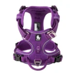 Harnais anti-traction Country Plus - violet