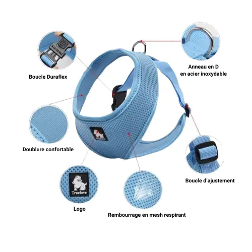 Harnais confort en mesh pour chien Truelove : Légèreté et respirabilité pour des balades sereines Design aéré du harnais en mesh pour chien