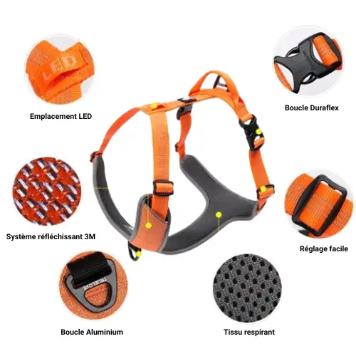 Harnais Chien Haute Visibilité Truelove Mountain : Réfléchissant à 360° Harnais Harnais Anti-Traction léger Truelove Colorado Plus Réfléchissant Truelove Mountain