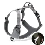 Harnais Truelove Mountain - gris