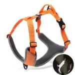 Harnais Truelove Mountain - orange