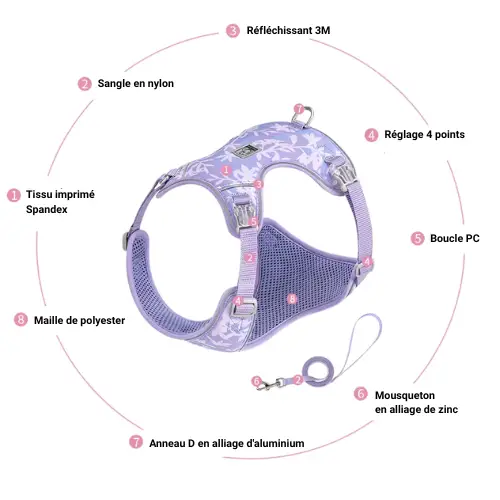 Ensemble Laisse et Harnais Truelove Julian : Confort pour Petit Chien et Chat Kit Harnais et Laisse Truelove Julian