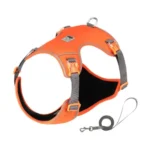 Harnais Truelove petit chien - orange