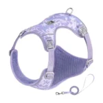 Harnais Truelove pour petit chien - violet