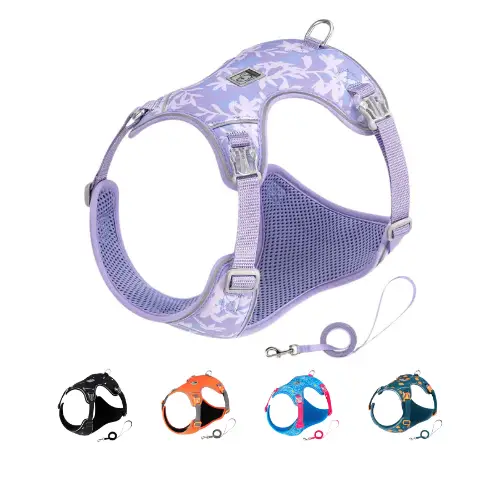 Ensemble Laisse et Harnais Truelove Julian : Confort pour Petit Chien et Chat Ensemble harnais et laisse petit chien et chat Truelove Julian