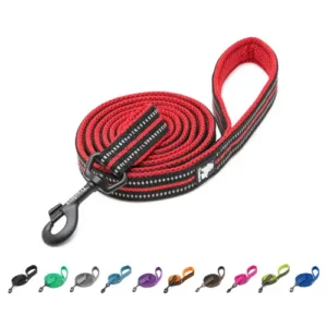 Truelove Laisse pour chien Truelove Walk 110cm - Vue de face avec poignée rembourrée