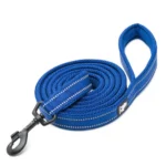 Laisse pour chien Truelove Walk - bleu