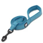 Laisse pour chien Truelove Walk - bleu