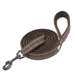 Laisse pour chien Truelove Walk - marron