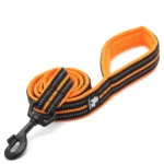 Laisse pour chien Truelove Walk - orange