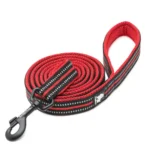 Laisse pour chien Truelove Walk - rouge