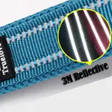 Laisse pour chien 200cm portée lors d'une promenade - Bandes réfléchissantes visibles